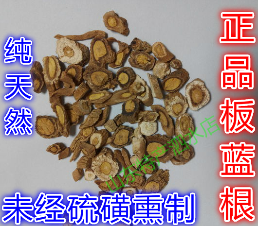 板蓝根 板蓝根切片 中药材