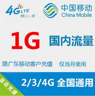 广东流量包充值 路由器/网络 国内1g流量 叠加包充值