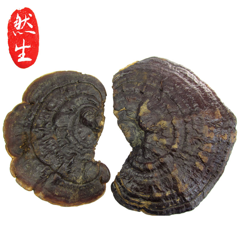 然生野生灵芝云南野生无柄赤芝红灵芝孢子粉非紫芝可切灵芝片250g