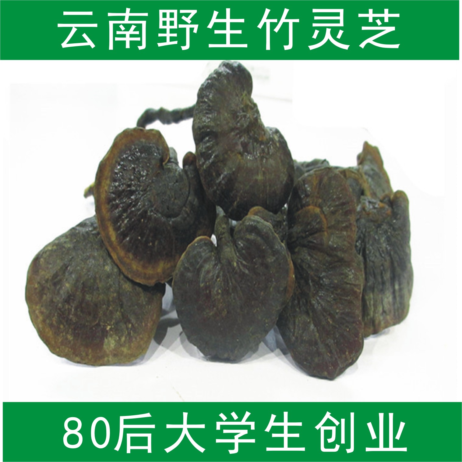 青芝 竹灵芝 野生云南长颈竹灵芝100g 野生灵芝 100g