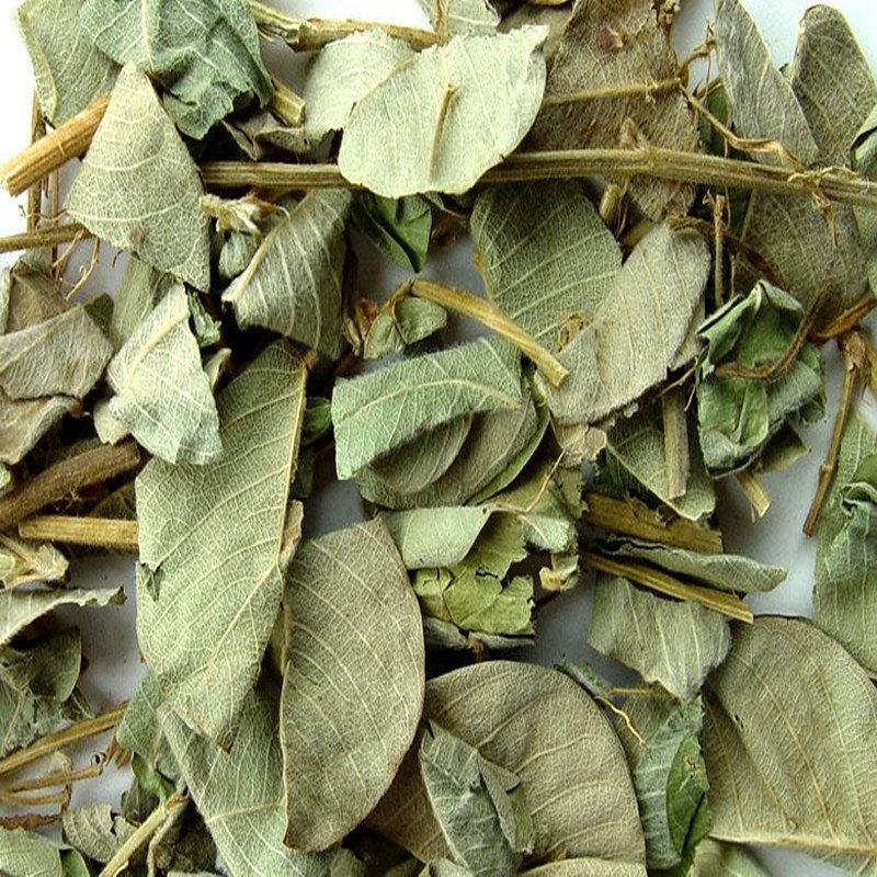野生天然 广大叶金钱草药排石茶 肾茶化石排石 尿石 溶石排石500g