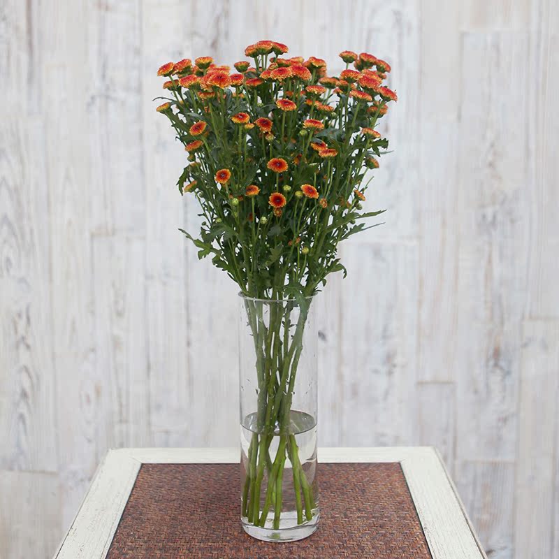 正品[深圳公积金管理中心]深圳公积金管理查询