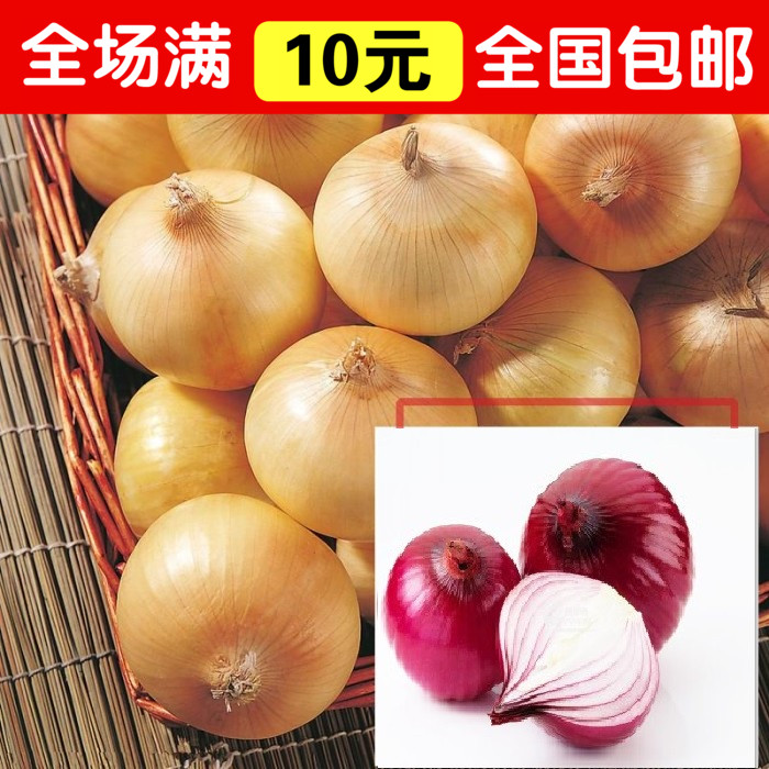 品[洋葱mp3格式]洋葱mp3下载评测 洋葱平安m