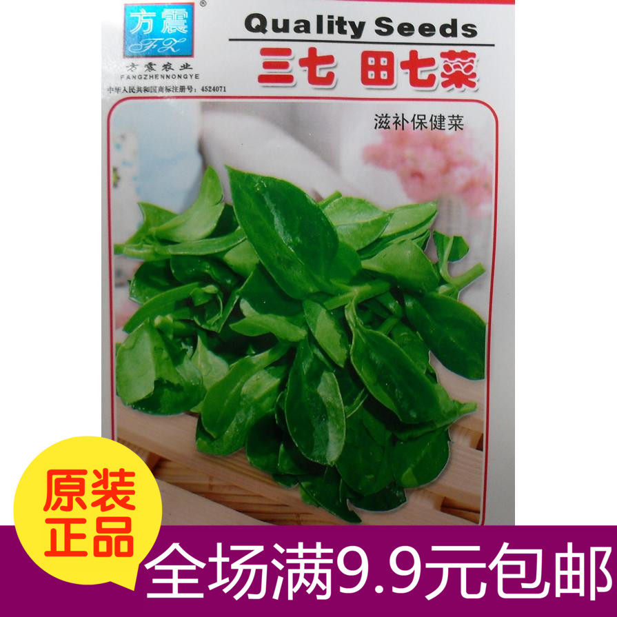 三七 田七菜种子 高端蔬菜 养心菜保健菜 补血 降血脂胆固醇