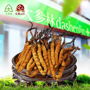东紫云轩 玉树虫草正品送礼佳品特价 冬虫夏草4条/g