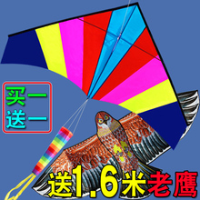 送老鹰 七彩鸟彩虹三角风筝 包邮 微风儿童成人线轮 潍坊风筝