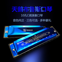 包邮 天鹅10孔口琴儿童成人初学布鲁斯blues口琴初学C调十孔口琴