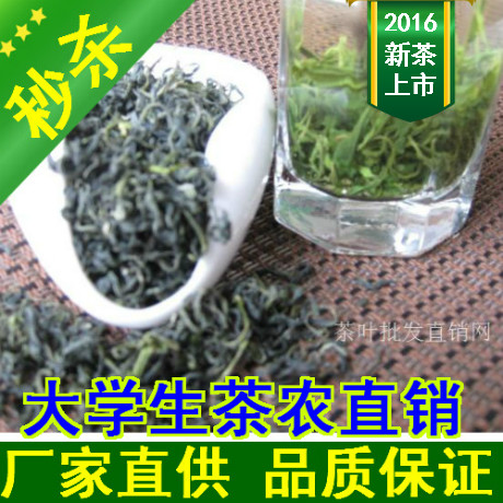 2016年新茶叶 一级苏州洞庭山碧螺春 炒青绿茶 亏本促销两斤包邮