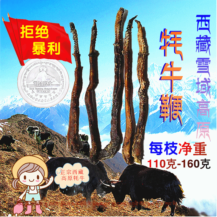 西藏牦牛鞭 西藏特产雪域高原正宗牦牛鞭110克 泡酒煲汤料