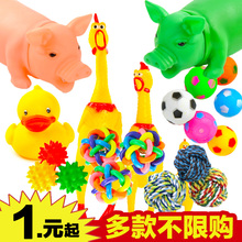小狗狗玩具球发声磨牙耐咬训练泰迪比熊幼犬玩具宠物用品 亏本秒杀