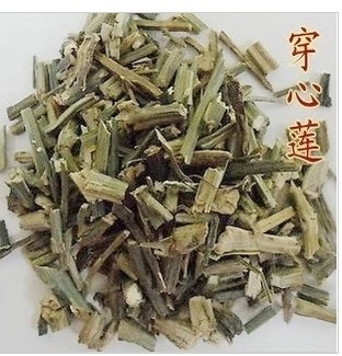 大鹏中药材穿心莲.有穿心莲粉500克10元包邮