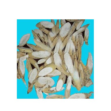 (正品)中药材 牛大力 猪脚笠、山莲藕、金钟根、倒吊金钟、大力薯