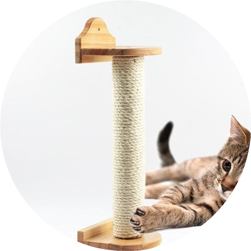 正品[挠痒按摩]隔靴挠痒评测 美女双手绑着被挠