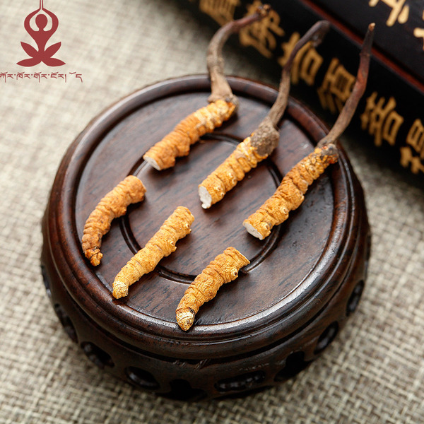 正品冬虫夏草 仅24小时 西藏那曲冬虫夏草断草