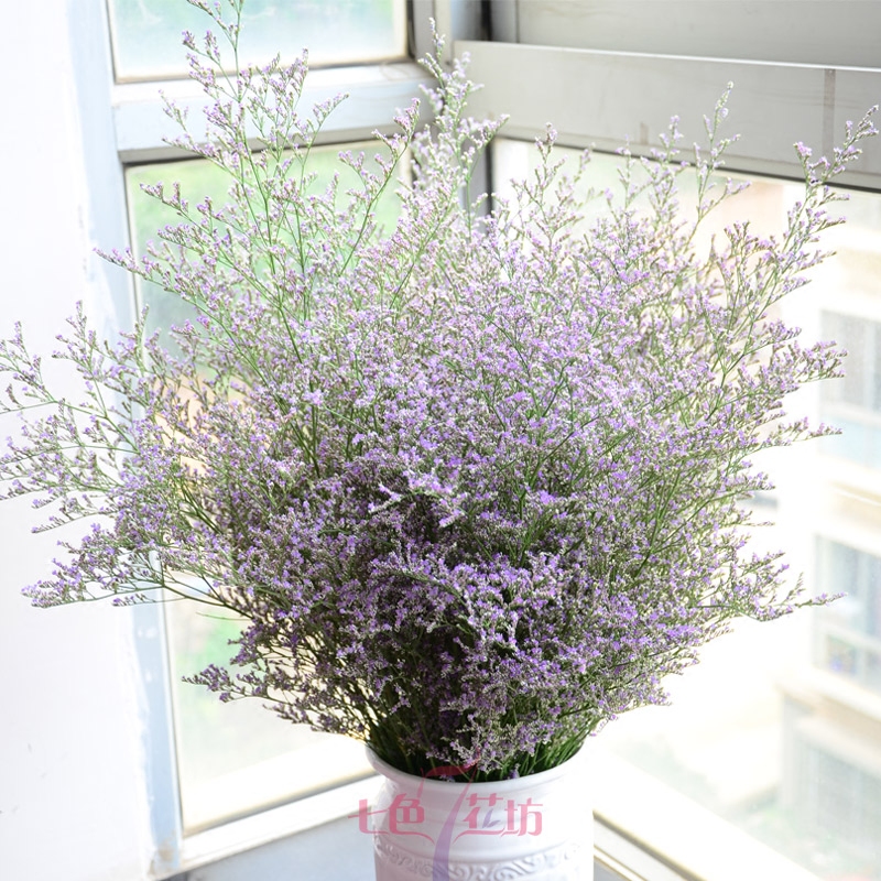 云南干花情人草天然风干真花七色花坊手捧花干花勿忘我自由百搭