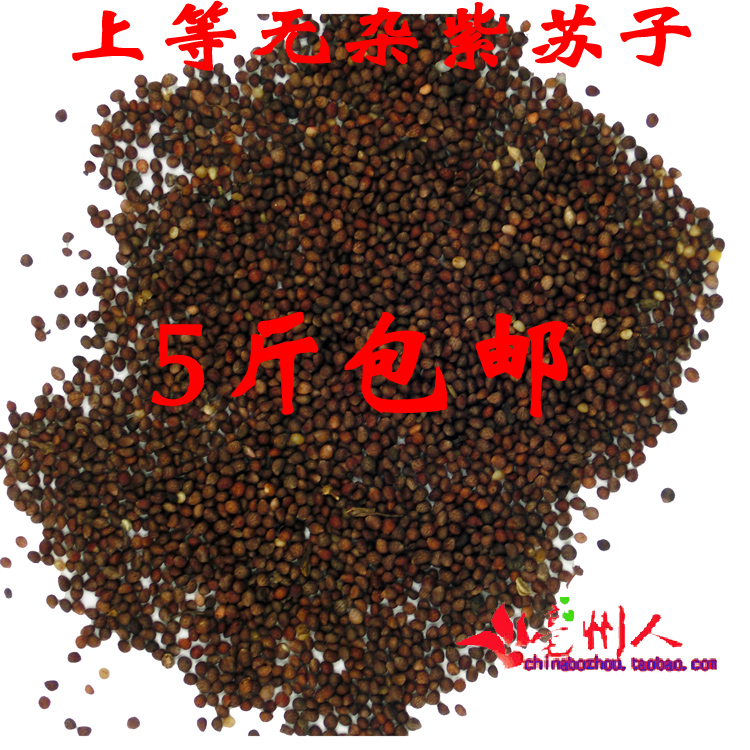 上等无杂绝对正品紫苏子籽含油量高12元500克5斤包邮偏远地区除外