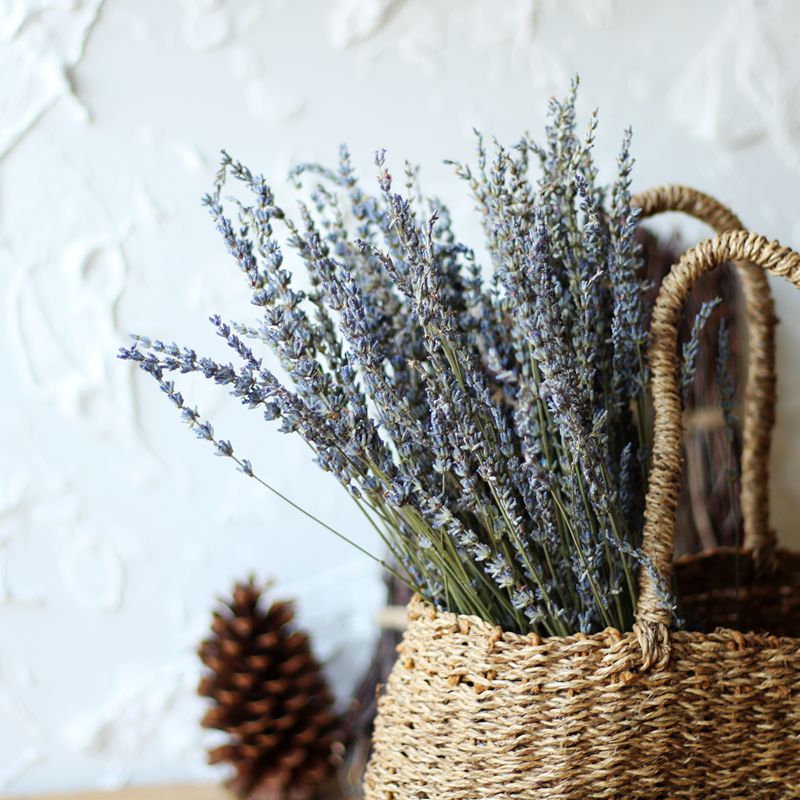 正品[艺术签名免费版]艺术签名免费生成版评测