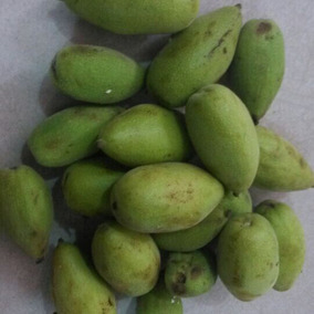 正品[青龙衣]青龙衣的功效与作用评测 君再生北