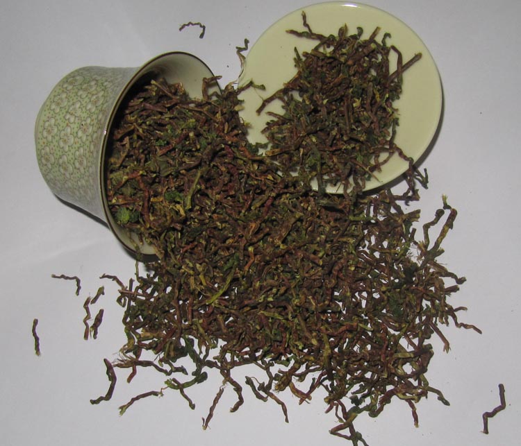 特级山蜜草 云南长寿草 山蜜草茶 甜菊叶 山密草 甜凉茶 混批
