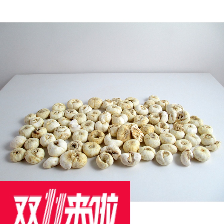 传统滋补浙贝母 平贝 500克袋装可免费打粉 川贝中药材包邮 贝母