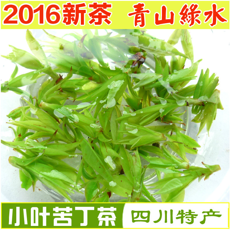 小叶苦丁茶 2016年新茶特级四川野生 青山绿水茶叶 保健绿茶散装