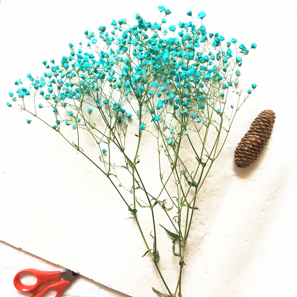 满天星干花花束真花 天然云南勿忘我客厅diy插花薰衣草情人草干花