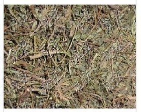 中药材中草药*珍珠草 500克