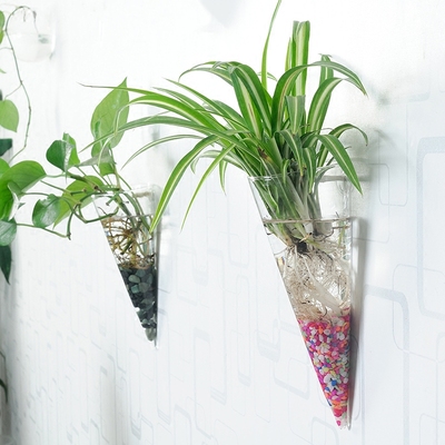 悬挂玻璃花瓶透明创意水培绿萝壁挂花瓶简约现代家居图片