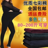 女胖人mm外穿 高弹打底裤 加绒加厚春秋冬季高腰加肥加大码 天天特价