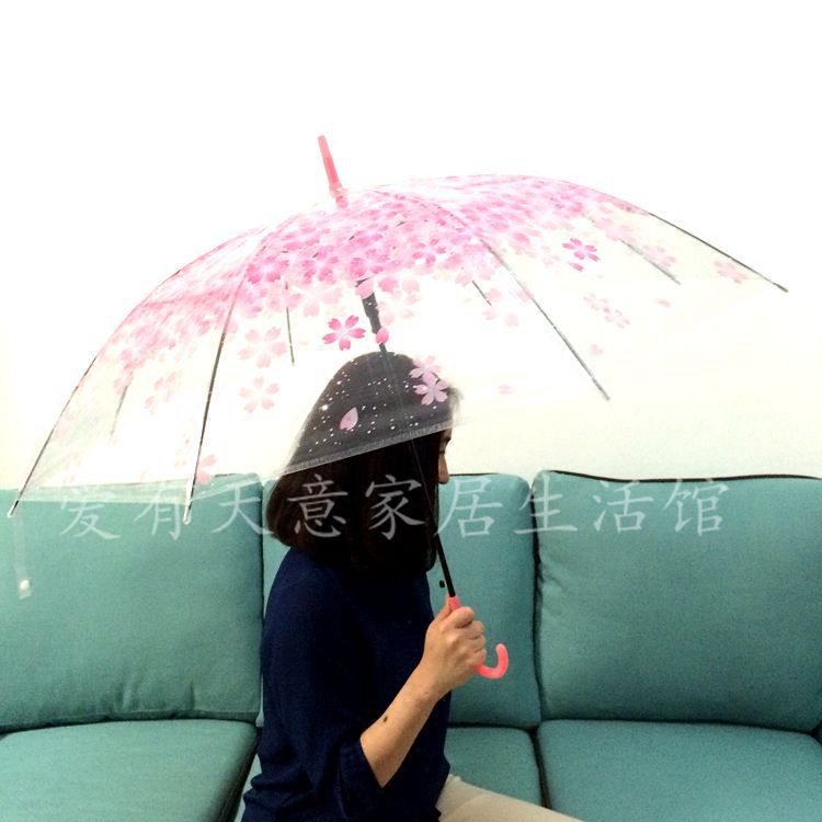 透明雨伞 韩国樱花伞文艺小清新长柄伞 女生儿童舞蹈道具伞 包邮