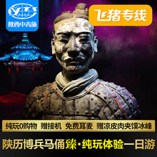飞猪专线陕西西安旅游陕历博兵马俑一日游纯玩跟团游含长恨歌门票