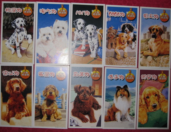 正品[金卡 项链]平安银行信用卡金卡评测 百夫长