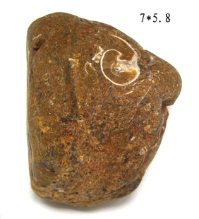 ʢȻ껨ʯj430(ݻʯ)