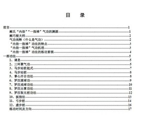 正品[少林气功]少林气功内劲一指禅评测 少林气