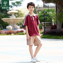 T恤东莞大岭山小学校服 东莞市大岭山镇小学生统一校服纯棉夏短袖