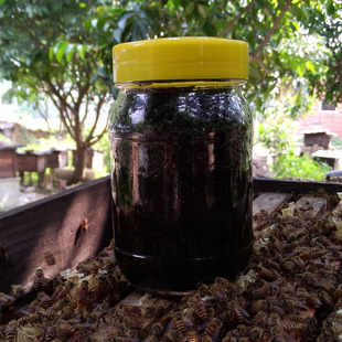 蜂蜜 佛手蜜茶 刘氏蜂业刘向明牌土蜂蜜 蜂蜜泡茶