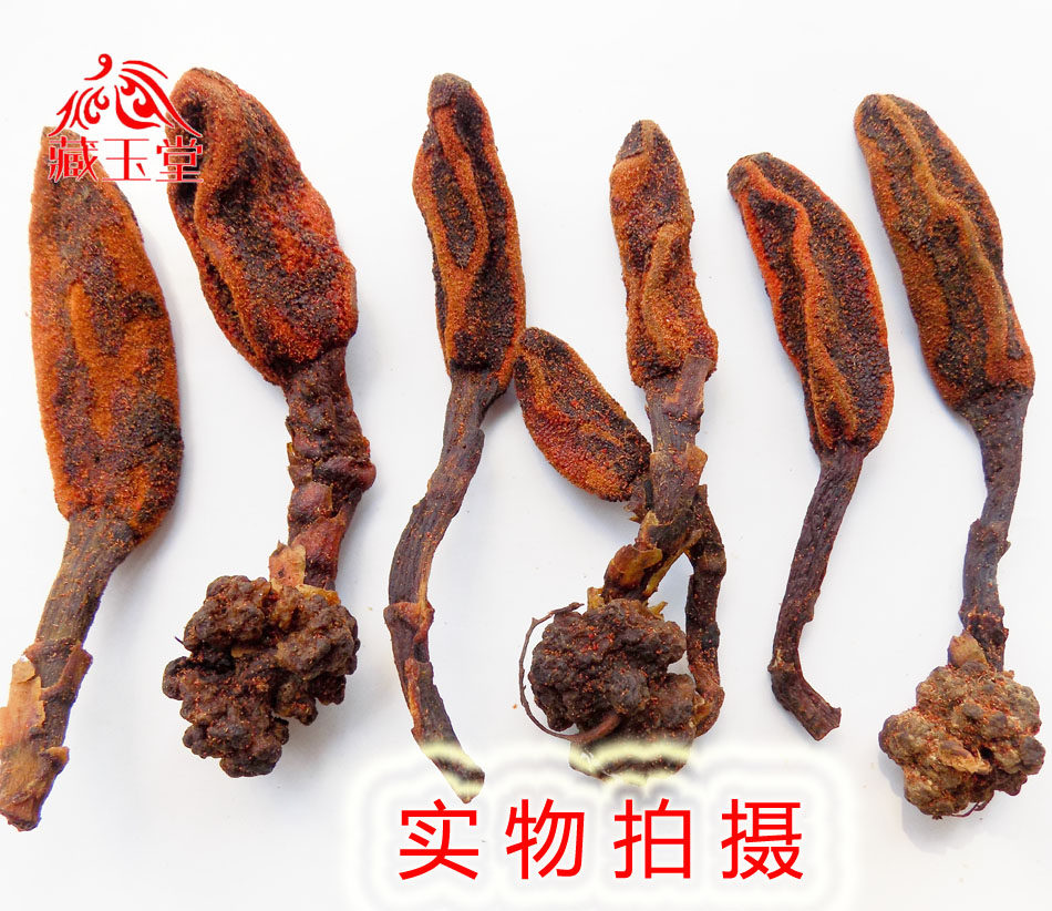 续阳草图片,阳阳图片,半阳图片_大山谷图库
