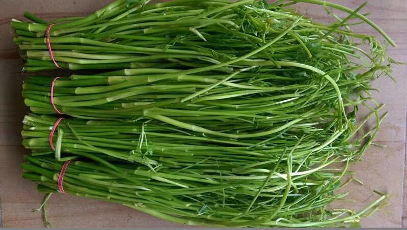 5斤包邮绿色时令蔬菜有机水芹菜河芹刀芹蜀芹药芹野芹菜去叶去根