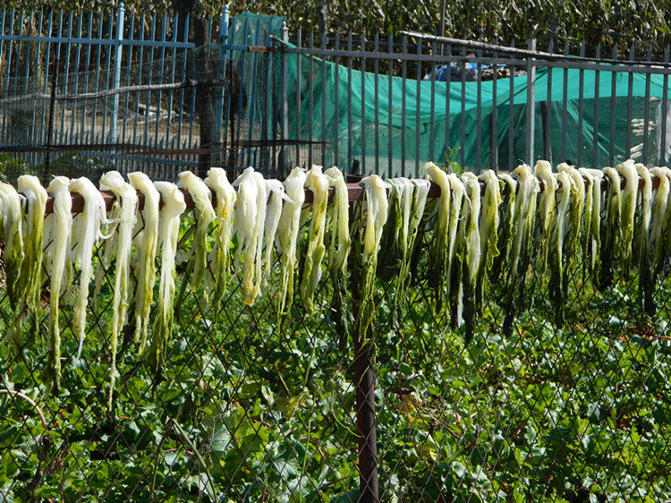 东北白菜干干货农家自晒干白菜自制特产农家产脱水梅菜干货新250g