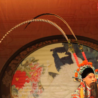 天然羽毛 野鸡翎子 京剧戏曲头饰 俏花旦 山鸡尾 野鸡毛 戏曲头饰