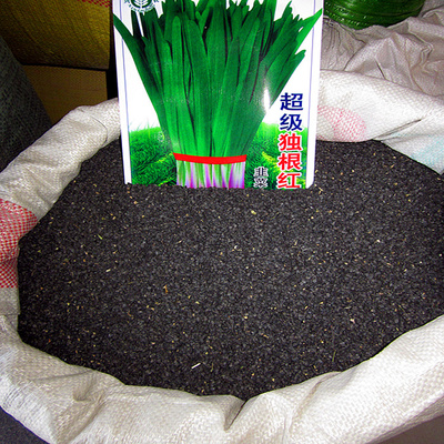 新产韭菜种子-寿光独根红韭菜籽-多次采收-保健蔬菜种子-特价