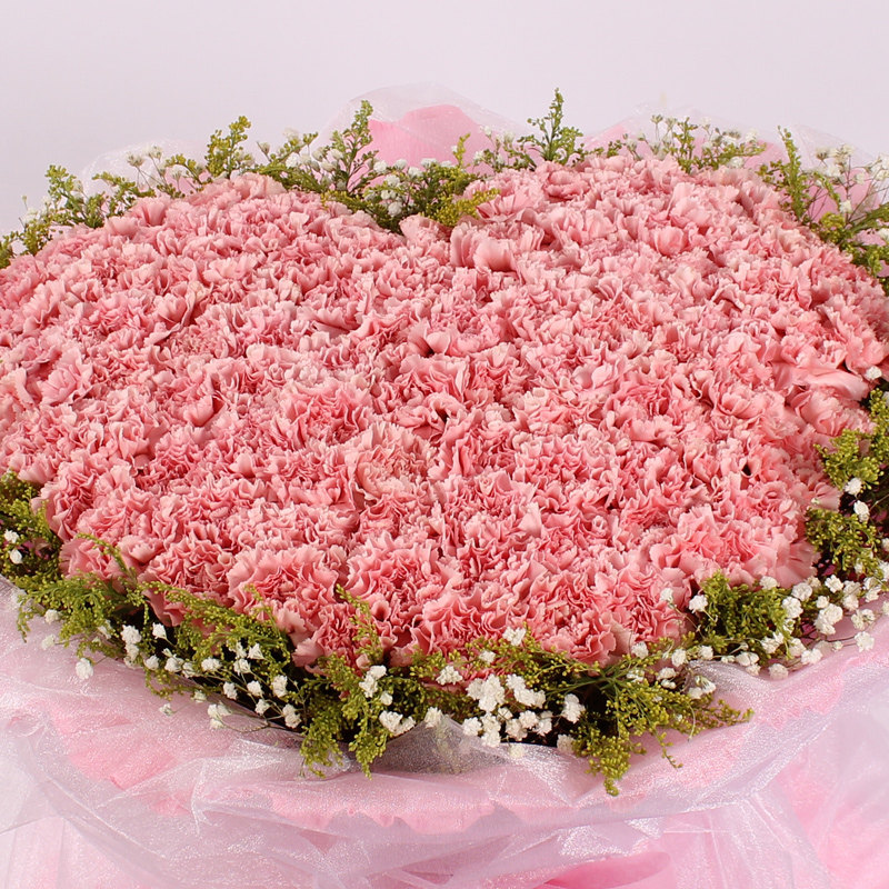 99朵康乃馨代表什么(康乃馨19朵代表什么意思)