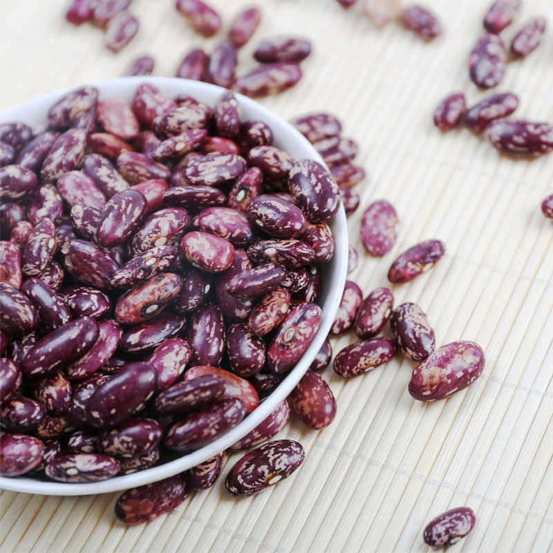 贵州农家紫红芸豆子 豆米火锅四季豆 豆米肾豆花豆大红豆包邮特价