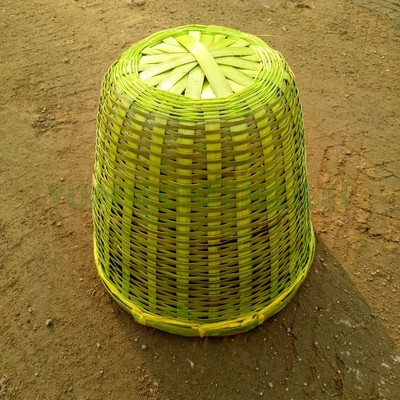 诱蜂笼收野蜂的笼子 收蜂笼 野外招蜂笼 中蜂工具养蜂