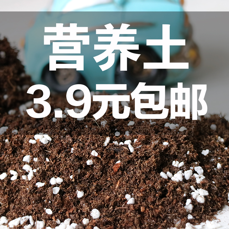 烤多肉|多肉土 多肉植物土配方营养土盆栽花卉育苗种植进口泥炭土