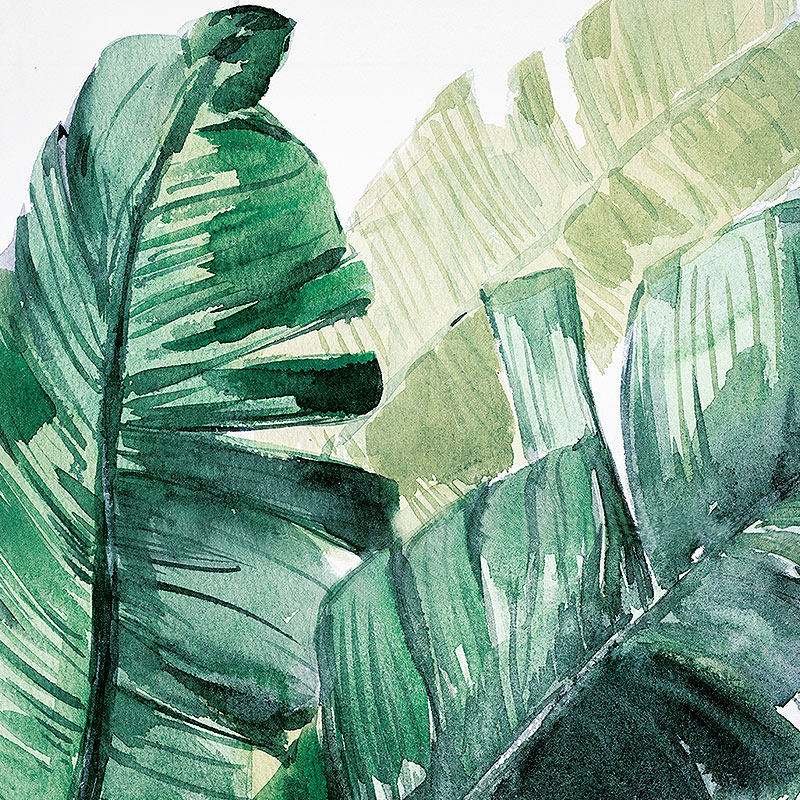 南十字星 现代简约客厅抽象植物装饰画 玄关挂画艺术家吴恒易盎然