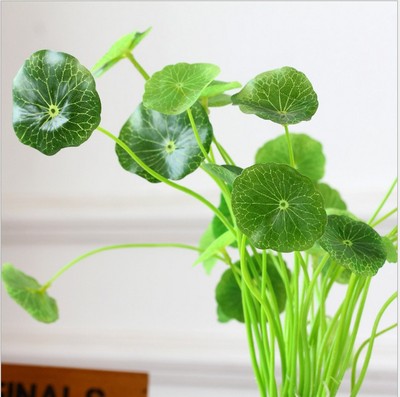 仿真植物 小荷叶 手感荷叶 家居摆放装饰 金钱莲铜钱草鱼缸水草