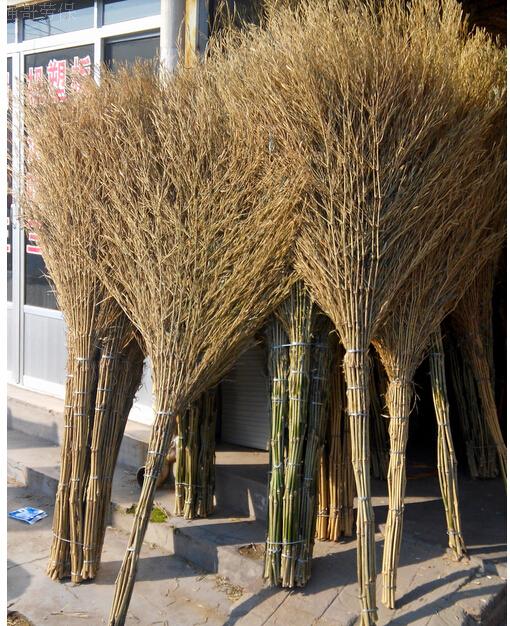 农家用竹子大扫把庭院园林用清洁工具环卫扫帚 物业