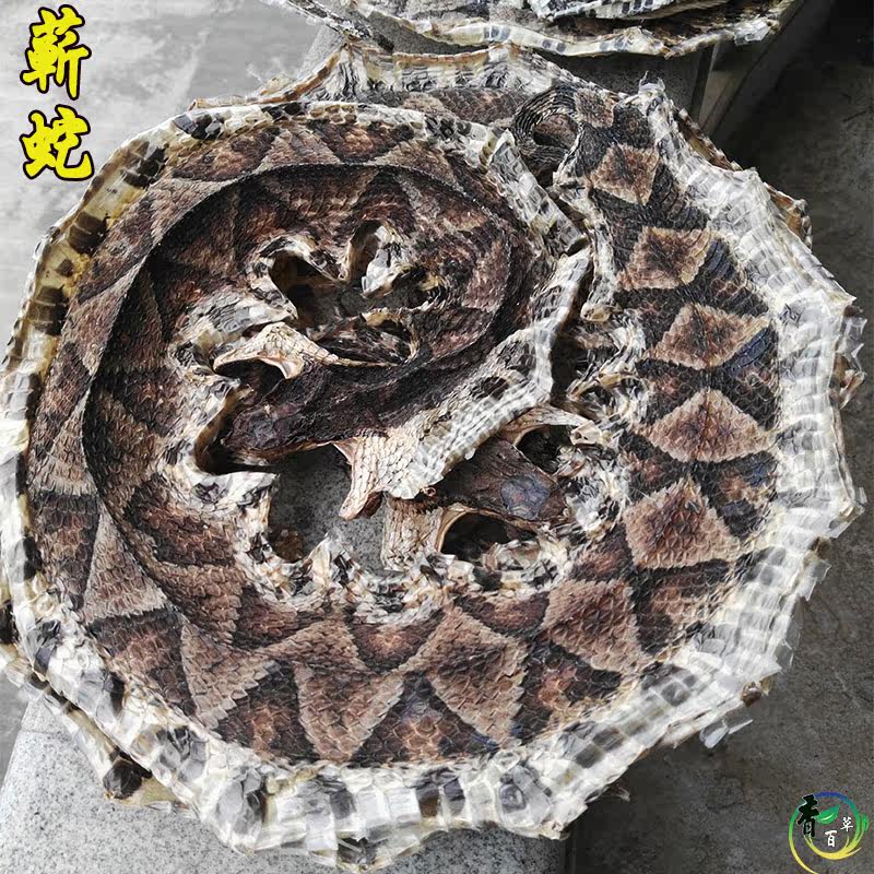 中药材广西蕲蛇五步蛇干尖吻蝮百步蛇鞭正品棋盘蛇泡酒料20克