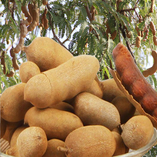 云南特产西双版纳新酸甜角小酸角角罗望子孕妇补钙零食泰国进口